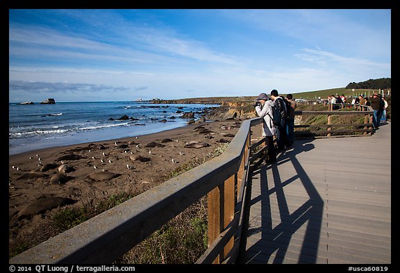 Visitors observe Piedras Blancas seal rookery from boardwalk. California, USA (color)