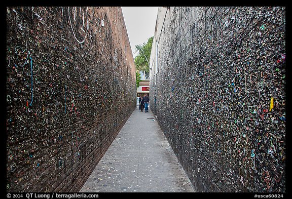 Bubblegum Alley. California, USA (color)