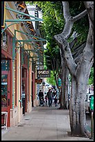 Shopping street. California, USA ( color)
