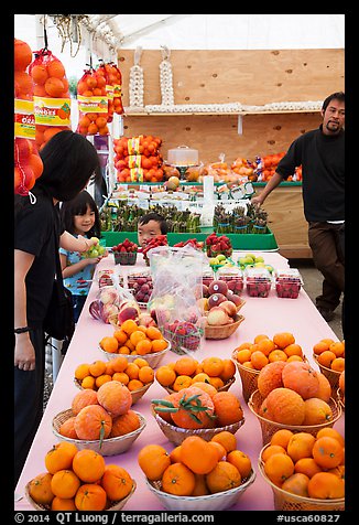 Customers buying fruit at stand. California, USA (color)