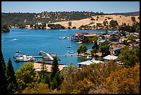 Marina, Tulloch Reservoir. California, USA ( color)