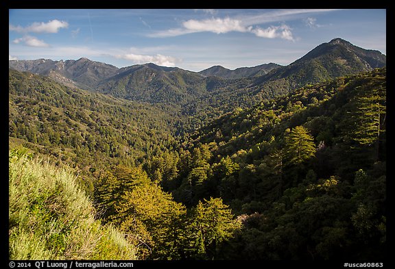 View from Bottchers Gap, Los Padres National Forest. Big Sur, California, USA