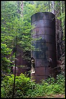 Lime kilns, Limekiln State Park. Big Sur, California, USA ( color)