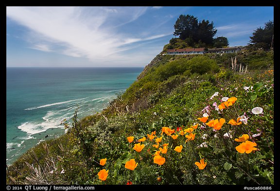 Poppies and motel rooms overlooking Pacific Ocean, Lucia. Big Sur, California, USA (color)