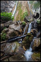 Limeliln falls, Limekiln State Park. Big Sur, California, USA ( color)