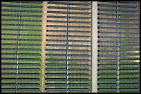 Aerial view of solar energy farm. San Jose, California, USA ( color)