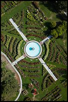 Aerial view of Rose Garden and fountain. San Jose, California, USA ( color)