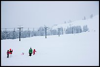 Ski resort on a snowy day. California, USA ( color)
