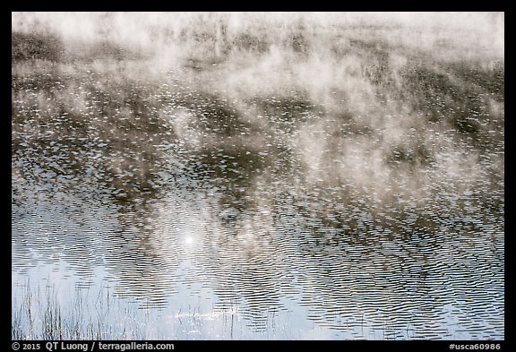 Ripples and mist rising, Jenkinson Lake. California, USA