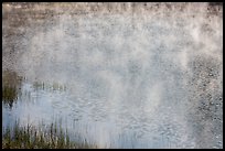 Grasses, mist floating above water, Jenkinson Lake. California, USA ( color)