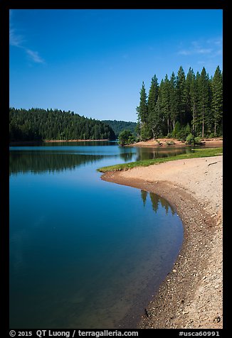 Lakeshore and pines, Jenkinson Lake. California, USA (color)