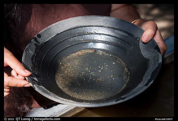 Hands holding pan with bits of gold, El Dorado County. California, USA (color)