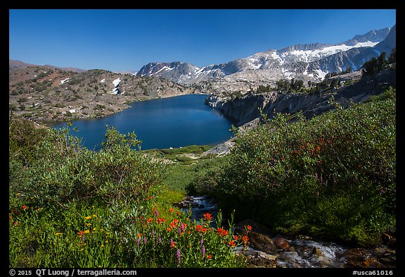 Wildflowers, stream, and lake, Twenty Lakes Basin, Inyo National Forest. California, USA