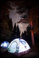 Lighted tents, forest, and Milky Way, Prosser Ranch Group Campground, Tahoe National Forest. California, USA ( color)