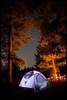 Tent and campfire at night,  Prosser Ranch Group Campground, Tahoe National Forest. California, USA ( color)