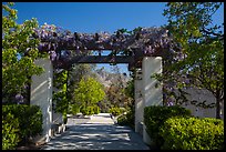 Garden framing hills, Cesar Chavez National Monument, Keene. California, USA ( color)
