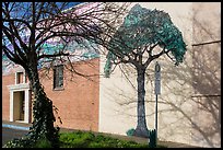 Tree and mural, Willits. Sonoma Valley, California, USA