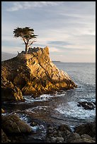 Lone Cypress. Pebble Beach, California, USA ( color)