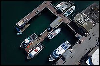 Aerial view of wharf and tour boats. Monterey, California, USA ( color)