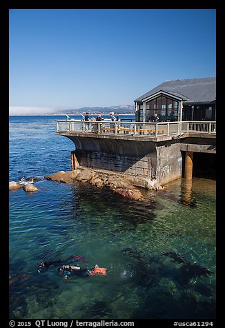 Ocean deck and scuba divers, Monterey Bay Aquarium. Monterey, California, USA (color)