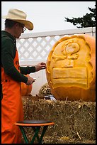 Man carving elaborate pumpkin. Half Moon Bay, California, USA ( color)