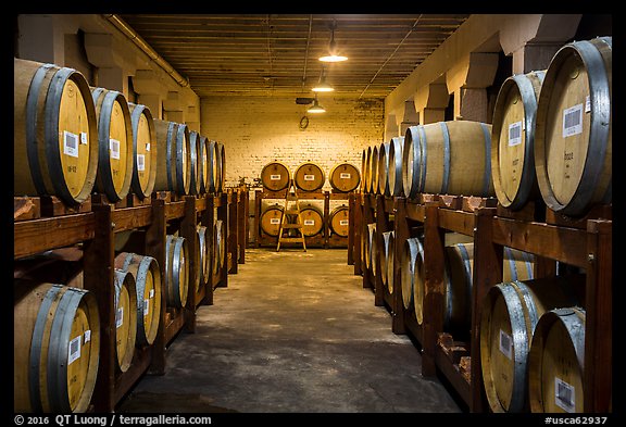 Barrels in cellar, Korbel Champagne Cellars, Guerneville. California, USA (color)
