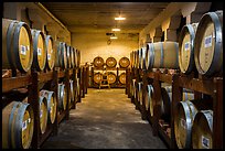 Barrels in cellar, Korbel Champagne Cellars, Guerneville. California, USA ( color)