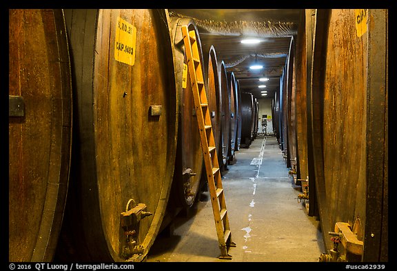 Huge barrels in cellar, Korbel Champagne Cellars, Guerneville. California, USA (color)