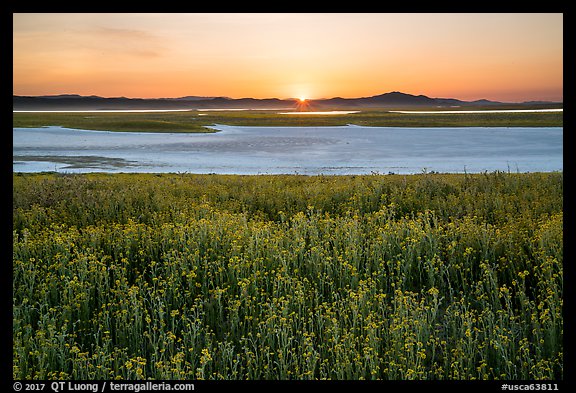 Sunset over Soda Lake in spring. Carrizo Plain National Monument, California, USA (color)