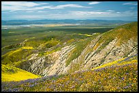 Soda Lake and Carrizo Plain from Temblor Range hills. Carrizo Plain National Monument, California, USA ( color)