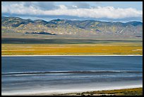 Soda Lake and Temblor Range in springtime. Carrizo Plain National Monument, California, USA ( color)