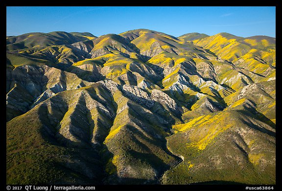 Aerial view of Temblor Range with patches of wildflowers. Carrizo Plain National Monument, California, USA