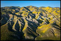Aerial view of Temblor Range with patches of wildflowers. Carrizo Plain National Monument, California, USA ( color)