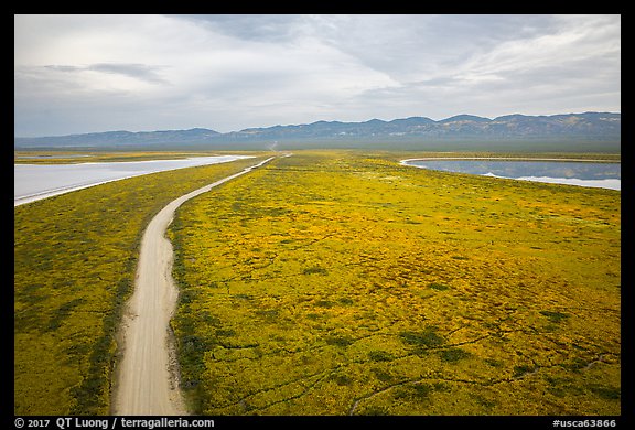 Aerial view of Carrizo Plain and lakes. Carrizo Plain National Monument, California, USA