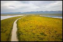 Aerial view of Carrizo Plain and lakes. Carrizo Plain National Monument, California, USA ( color)