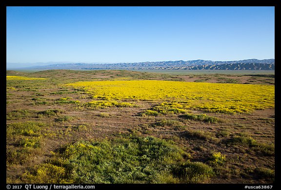 Aerial view of Carrizo Plain in springtime. Carrizo Plain National Monument, California, USA