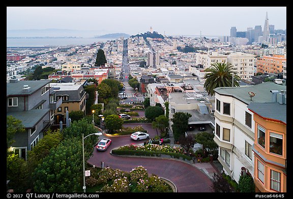 Aerial view of Lombard Street, Coit Tower, and Transamerica Pyramid. San Francisco, California, USA