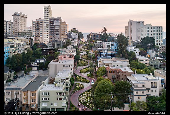 Aerial view of Lombard Street area. San Francisco, California, USA