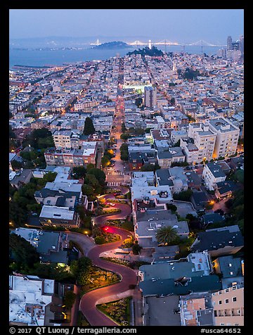 Aerial view of Lombard Street, Coit Tower, and Bay at night. San Francisco, California, USA