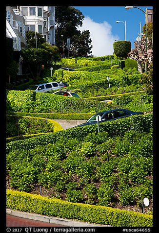 Lombard Street with cars on twists. San Francisco, California, USA (color)