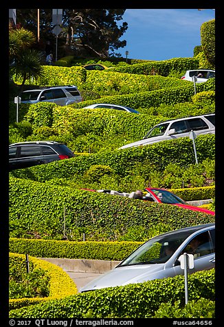 Lombard Street from the bottom with cars on turns. San Francisco, California, USA (color)