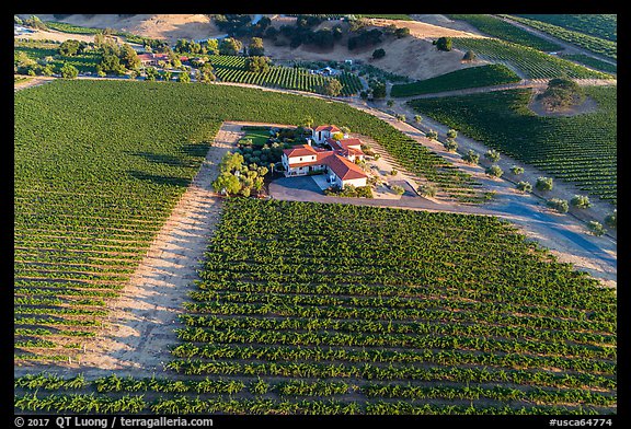 Aerial view of vineyard and winery in summer. Livermore, California, USA