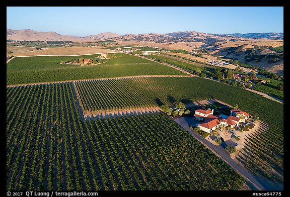 Aerial view of vineyards and wineries in summer. Livermore, California, USA (color)