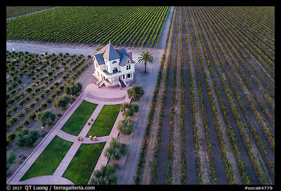Aerial view of Concannon winery and rows of vines in summer. Livermore, California, USA