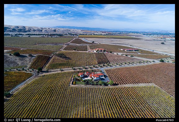 Aerial view of vineyards and wineries in autumn. Livermore, California, USA