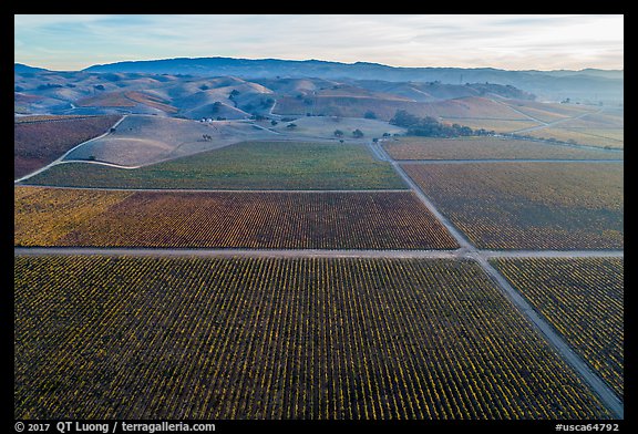 Aerial view of multicolored vineyards and hills in autumn. Livermore, California, USA