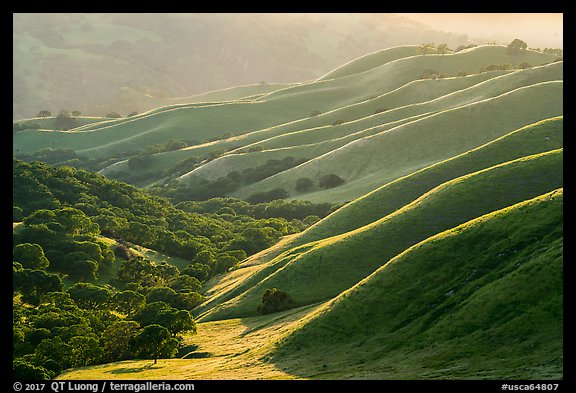 Oaks and ridges, late afternoon, Del Valle Regional Park. Livermore, California, USA (color)