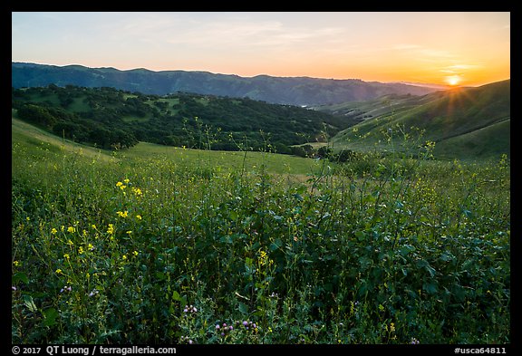 Spring Sunset over Del Valle Regional Park. Livermore, California, USA