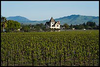 Winery. Livermore, California, USA ( color)