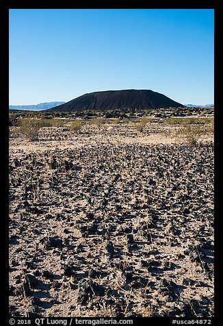 Volcanic rocks, grasses, and Amboy Crater. Mojave Trails National Monument, California, USA